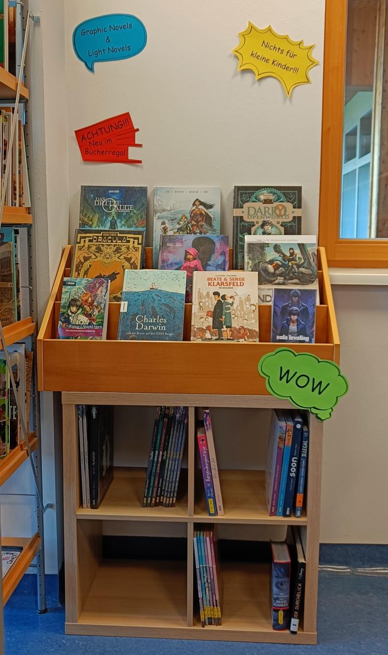 Graphic Novels