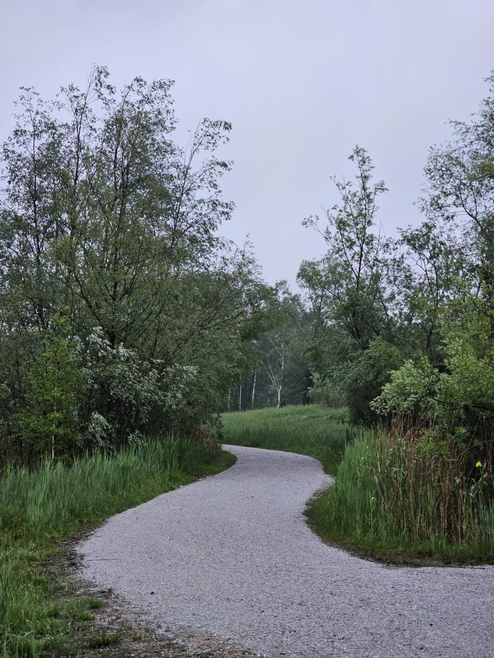 Weidmooser Moor