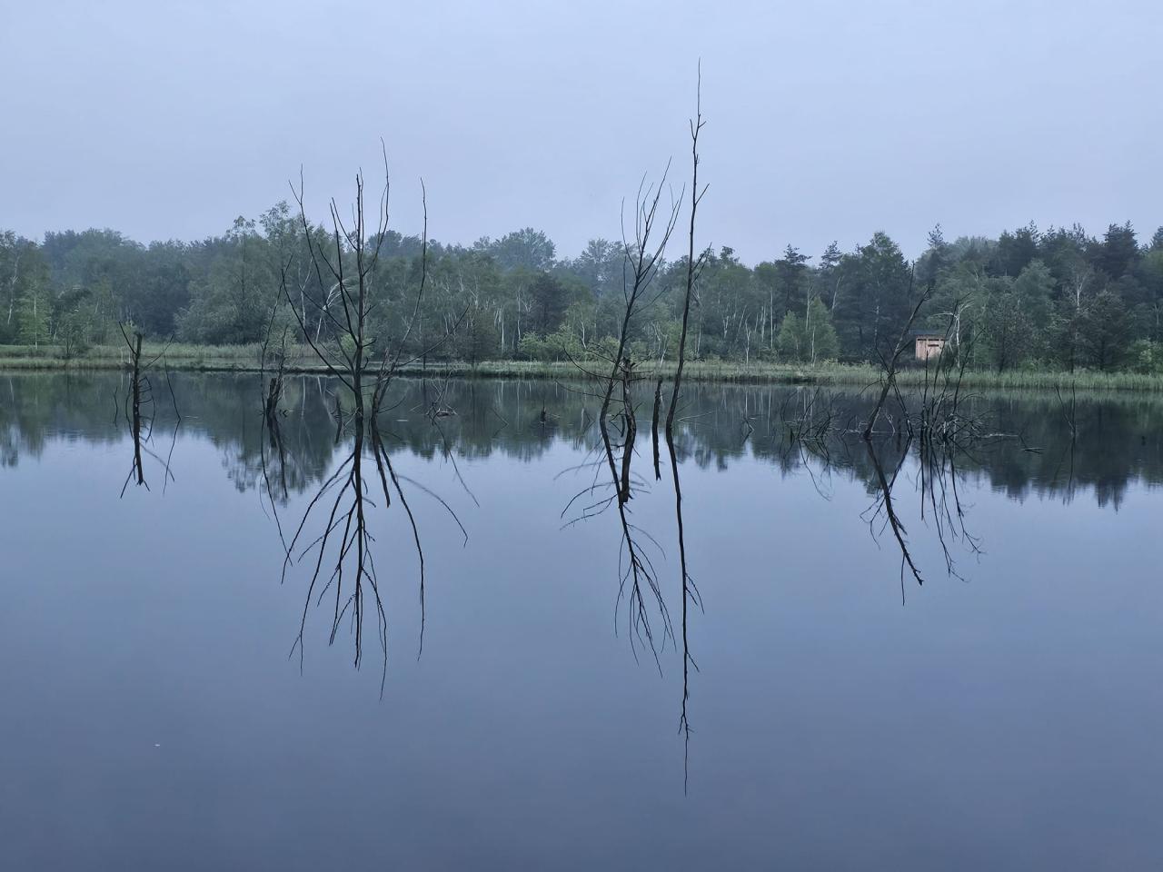 Weidmooser Moor