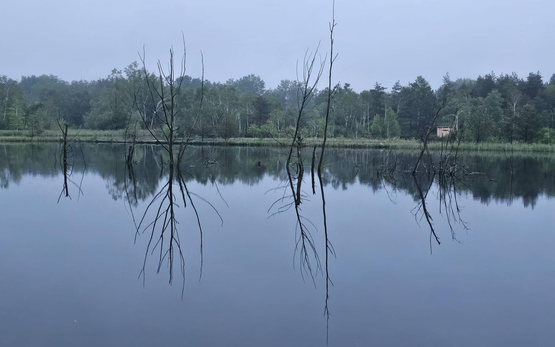 Weidmooser Moor