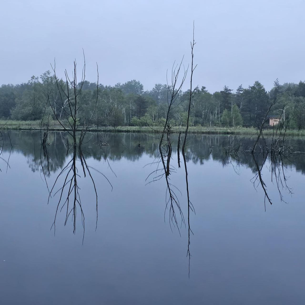Weidmooser Moor
